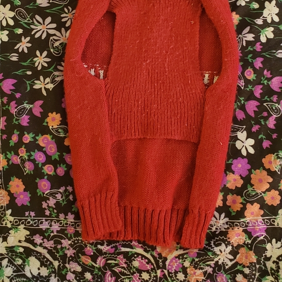 2 female puppy sweaters - Picture 6 of 6